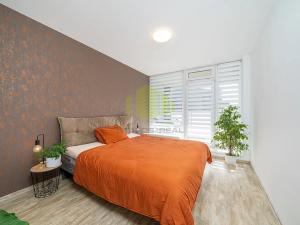 Prodej bytu 2+kk, Olomouc, 17. listopadu, 60 m2