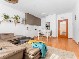 Prodej bytu 2+kk, Brno, Hlinky, 69 m2