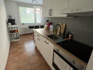 Pronájem bytu 1+1, Frýdek-Místek - Frýdek, Žižkova, 37 m2