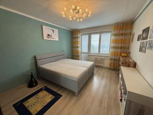 Pronájem bytu 3+1, Ostrava, Svojsíkova, 63 m2