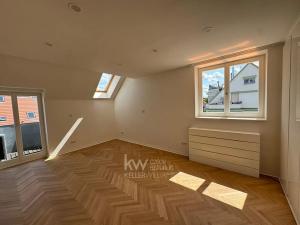 Pronájem rodinného domu, Praha - Dejvice, Na pískách, 381 m2
