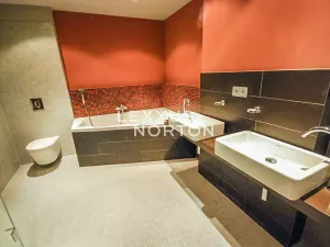 Pronájem bytu 4+kk, Praha - Vinohrady, Italská, 134 m2