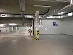 Pronájem bytu 4+kk, Praha - Vinohrady, Italská, 134 m2