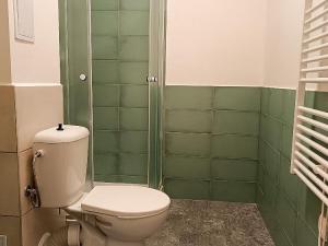 Pronájem bytu 2+kk, Ostrava - Přívoz, Palackého, 52 m2