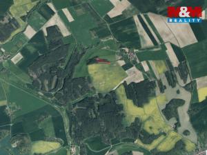 Prodej lesa, Močerady - Nové Dvory, 6098 m2