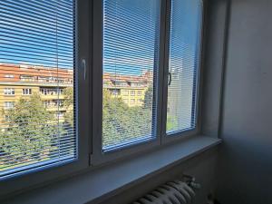 Pronájem kanceláře, Praha - Dejvice, Velflíkova, 28 m2