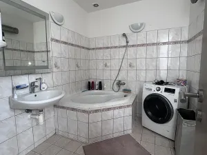 Pronájem rodinného domu, Letonice, 7070 m2