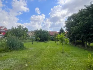 Pronájem rodinného domu, Letonice, 7070 m2