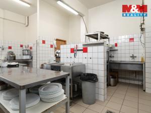 Prodej ubytování, Velké Heraltice, Opavská, 900 m2