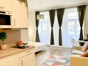Pronájem bytu 1+kk, Praha - Nové Město, Petrská, 31 m2