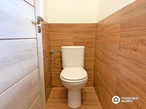 Pronájem bytu 1+1, Moravský Krumlov, Břízová, 48 m2