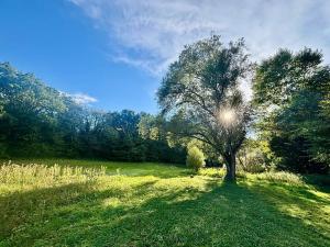 Prodej chaty, Lety, 45 m2