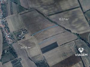 Prodej pole, Kněždub, 4473 m2