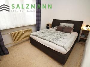 Pronájem bytu 3+1, Plzeň, Revoluční, 82 m2