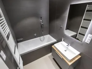 Prodej bytu 3+kk, Praha - Žižkov, U Viktorie, 70 m2