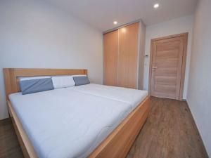 Pronájem bytu 3+kk, Plzeň, Železničářská, 139 m2