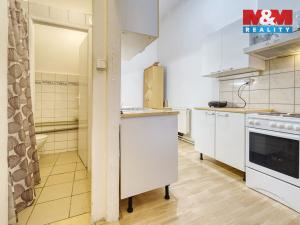 Pronájem bytu 3+kk, Plzeň - Vnitřní Město, Dominikánská, 89 m2