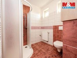 Prodej rodinného domu, Velký Týnec, U nové školy, 310 m2