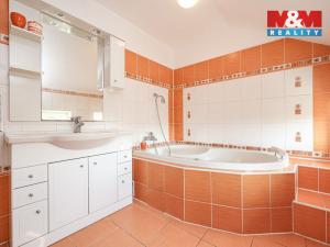 Prodej rodinného domu, Velký Týnec, U nové školy, 310 m2