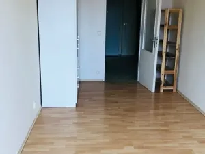 Pronájem bytu 2+kk, Praha, Remízková, 58 m2