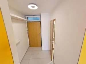 Pronájem bytu 1+1, Praha - Žižkov, Čajkovského, 30 m2
