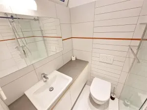 Pronájem bytu 1+1, Praha - Žižkov, Čajkovského, 30 m2