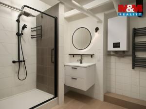Prodej bytu 1+kk, Praha - Žižkov, Hartigova, 29 m2
