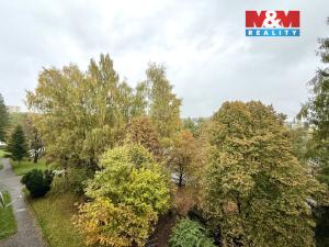 Prodej bytu 1+1, Havířov - Podlesí, Okrajová, 34 m2