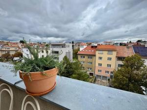 Pronájem bytu 1+1, Brno, Hoblíkova, 45 m2