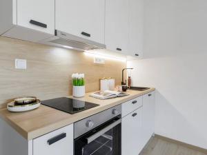 Pronájem bytu 1+kk, Slaný, Lázeňská, 34 m2