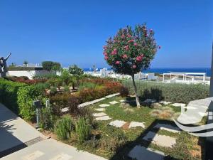 Prodej bytu 2+kk, Agios Amvrosios Keryneias, Kypr, 41 m2