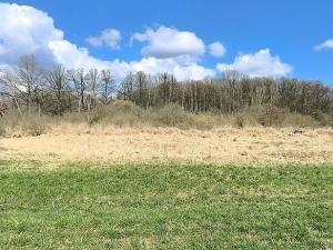 Prodej pole, Františkovy Lázně, 7083 m2