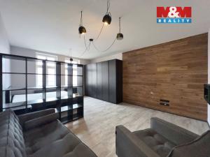 Pronájem bytu 1+1, Ostrava - Moravská Ostrava, Veleslavínova, 55 m2