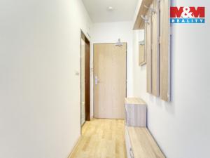 Pronájem bytu 1+1, Plzeň, Nepomucká, 23 m2