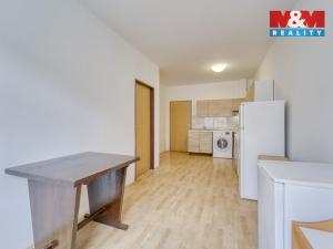 Pronájem bytu 1+1, Plzeň, Nepomucká, 23 m2