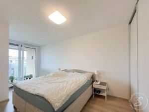 Pronájem bytu 2+kk, Praha - Žižkov, Na Vackově, 54 m2