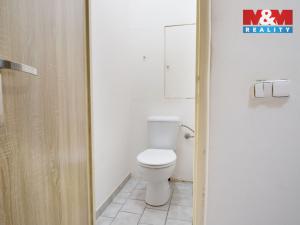 Prodej bytu 2+1, Chomutov, Vrchlického, 55 m2