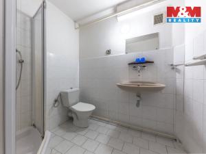 Prodej ubytování, Albrechtice v Jizerských horách, 600 m2