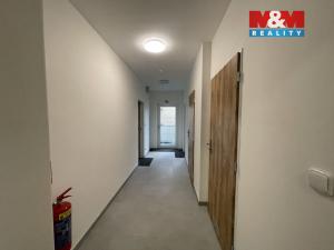 Pronájem bytu 2+kk, Ostrava - Vítkovice, Lidická, 99 m2