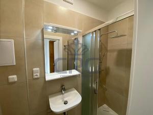 Pronájem bytu 2+kk, Brno - Staré Brno, Nové sady, 48 m2