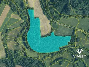 Prodej podílu lesa, Čmelíny, 7020 m2