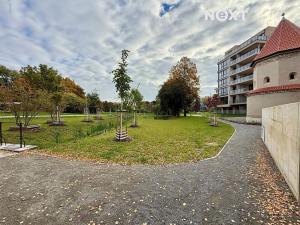 Pronájem bytu 1+kk, Praha - Břevnov, Radimova, 38 m2