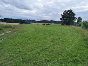 Prodej pozemku pro bydlení, Radomyšl, 8500 m2