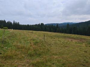 Prodej pozemku pro bydlení, Kvilda, 2500 m2