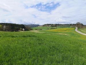 Prodej komerčního pozemku, Radomyšl, 10000 m2