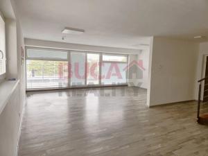 Pronájem kanceláře, Litvínovice, 148 m2