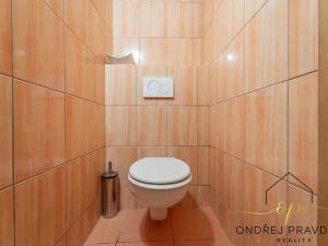 Prodej rodinného domu, Lety, Sokolská, 265 m2