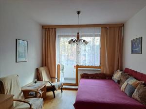 Pronájem bytu 1+kk, Luhačovice, 33 m2