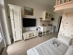 Prodej bytu 1+kk, Slapy, 22 m2