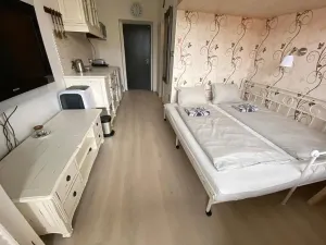 Prodej bytu 1+kk, Slapy, 22 m2